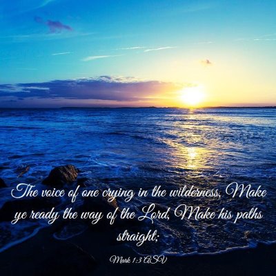 Picture 03 - Mark 1:3 ASV - The voice of one crying in the wilderness, Make - Bible Verse Picture