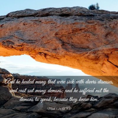 Picture 03 - Mark 1:34 ASV - And he healed many that were sick with divers - Bible Verse Picture