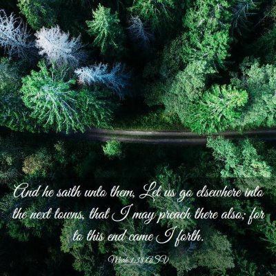 Picture 03 - Mark 1:38 ASV - And he saith unto them, Let us go elsewhere into - Bible Verse Picture