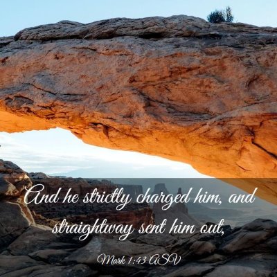Picture 03 - Mark 1:43 ASV - And he strictly charged him, and straightway sent - Bible Verse Picture