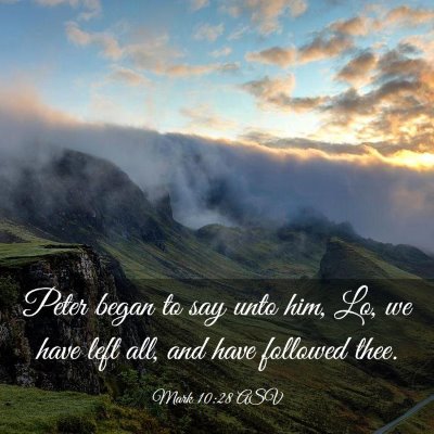Picture 03 - Mark 10:28 ASV - Peter began to say unto him, Lo, we have left - Bible Verse Picture