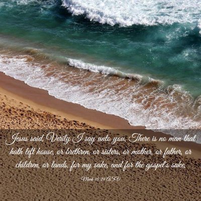 Picture 03 - Mark 10:29 ASV - Jesus said, Verily I say unto you, There is no - Bible Verse Picture