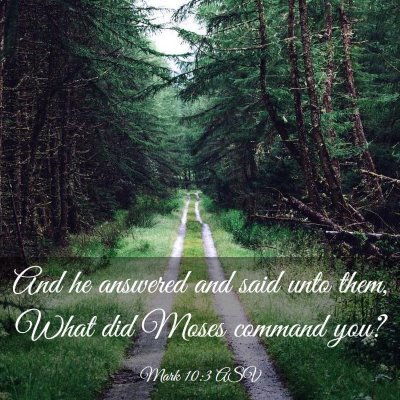 Picture 03 - Mark 10:3 ASV - And he answered and said unto them, What did - Bible Verse Picture