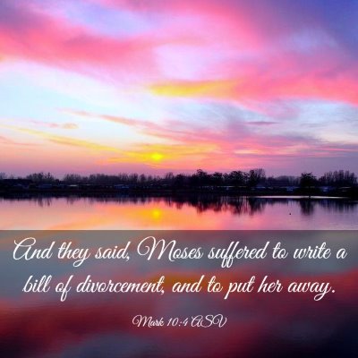 Picture 03 - Mark 10:4 ASV - And they said, Moses suffered to write a bill of - Bible Verse Picture