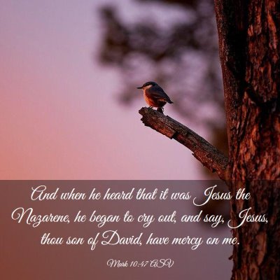 Picture 03 - Mark 10:47 ASV - And when he heard that it was Jesus the Nazarene, - Bible Verse Picture