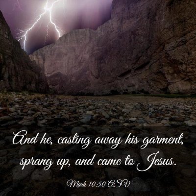 Picture 03 - Mark 10:50 ASV - And he, casting away his garment, sprang up, and - Bible Verse Picture