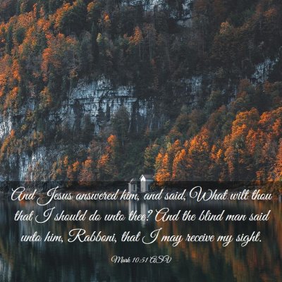 Picture 03 - Mark 10:51 ASV - And Jesus answered him, and said, What wilt thou - Bible Verse Picture