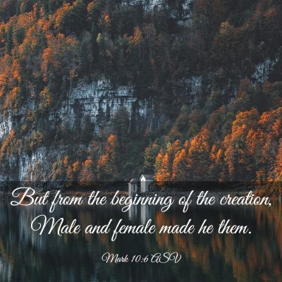 Picture 03 - Mark 10:6 ASV - But from the beginning of the creation, Male and - Bible Verse Picture