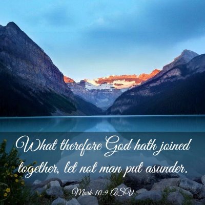 Picture 03 - Mark 10:9 ASV - What therefore God hath joined together, let not - Bible Verse Picture
