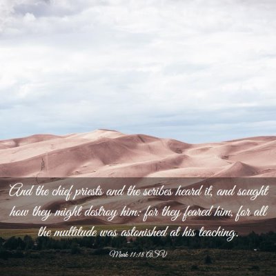 Picture 03 - Mark 11:18 ASV - And the chief priests and the scribes heard it, - Bible Verse Picture
