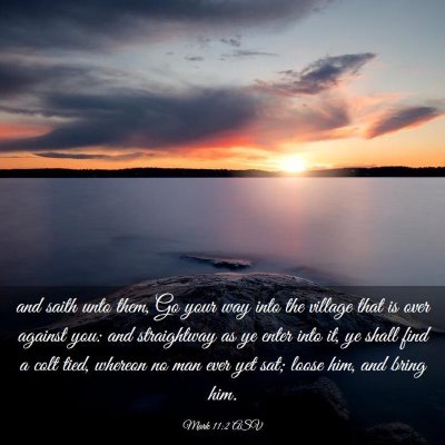 Picture 03 - Mark 11:2 ASV - and saith unto them, Go your way into the village - Bible Verse Picture