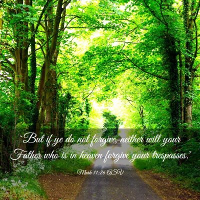 Picture 03 - Mark 11:26 ASV - `But if ye do not forgive, neither will your - Bible Verse Picture