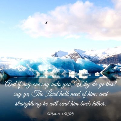 Picture 03 - Mark 11:3 ASV - And if any one say unto you, Why do ye this? say - Bible Verse Picture