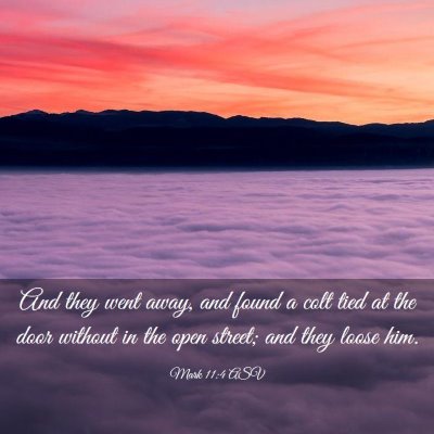 Picture 03 - Mark 11:4 ASV - And they went away, and found a colt tied at the - Bible Verse Picture