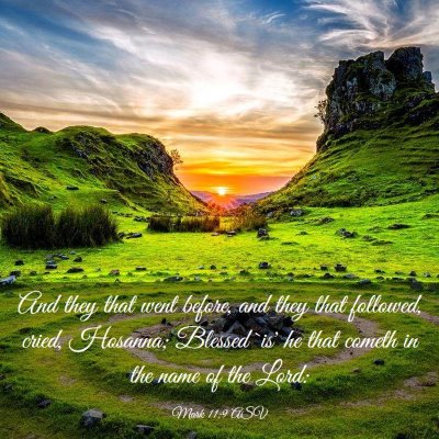 Picture 03 - Mark 11:9 ASV - And they that went before, and they that - Bible Verse Picture