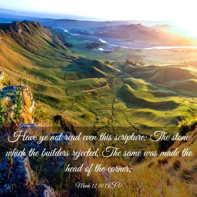 Picture 03 - Mark 12:10 ASV - Have ye not read even this scripture: The stone - Bible Verse Picture