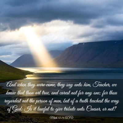 Picture 03 - Mark 12:14 ASV - And when they were come, they say unto him, - Bible Verse Picture