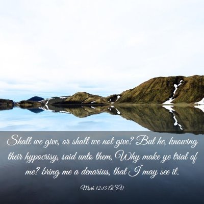 Picture 03 - Mark 12:15 ASV - Shall we give, or shall we not give? But he, - Bible Verse Picture