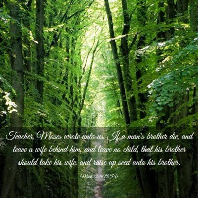 Picture 03 - Mark 12:19 ASV - Teacher, Moses wrote unto us, If a man's brother - Bible Verse Picture