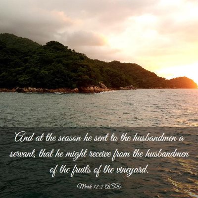Picture 03 - Mark 12:2 ASV - And at the season he sent to the husbandmen a - Bible Verse Picture