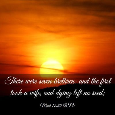 Picture 03 - Mark 12:20 ASV - There were seven brethren: and the first took a - Bible Verse Picture