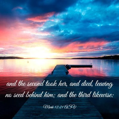 Picture 03 - Mark 12:21 ASV - and the second took her, and died, leaving no - Bible Verse Picture