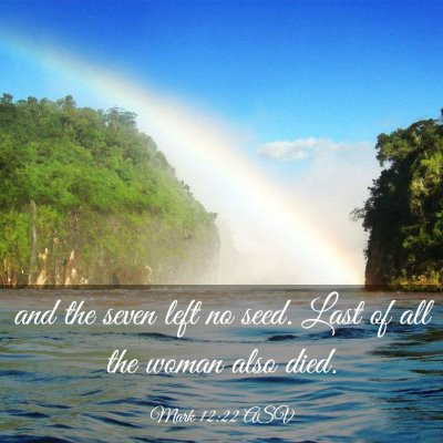 Picture 03 - Mark 12:22 ASV - and the seven left no seed. Last of all the woman - Bible Verse Picture