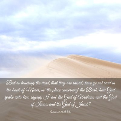 Picture 03 - Mark 12:26 ASV - But as touching the dead, that they are raised; - Bible Verse Picture