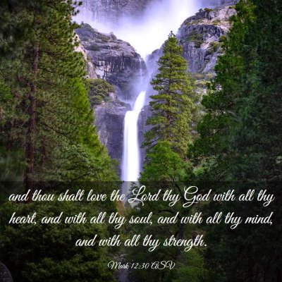 Picture 03 - Mark 12:30 ASV - and thou shalt love the Lord thy God with all thy - Bible Verse Picture