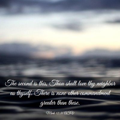 Picture 03 - Mark 12:31 ASV - The second is this, Thou shalt love thy neighbor - Bible Verse Picture