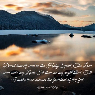 Picture 03 - Mark 12:36 ASV - David himself said in the Holy Spirit, The Lord - Bible Verse Picture