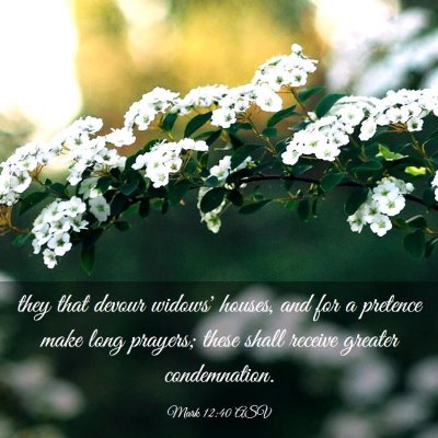 Picture 03 - Mark 12:40 ASV - they that devour widows' houses, and for a - Bible Verse Picture