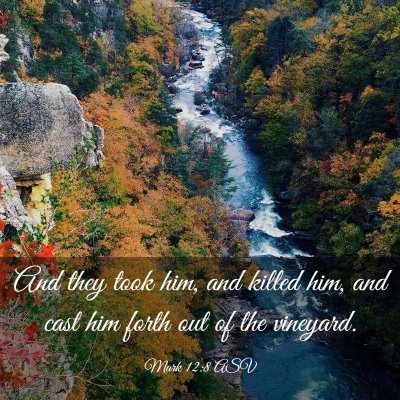 Picture 03 - Mark 12:8 ASV - And they took him, and killed him, and cast him - Bible Verse Picture