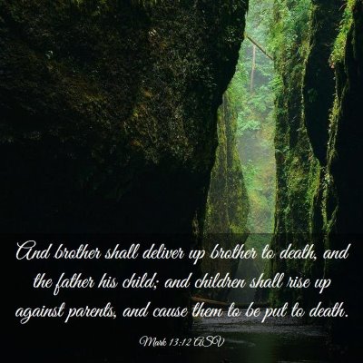 Picture 03 - Mark 13:12 ASV - And brother shall deliver up brother to death, - Bible Verse Picture