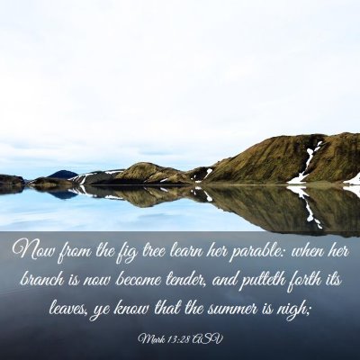 Picture 03 - Mark 13:28 ASV - Now from the fig tree learn her parable: when her - Bible Verse Picture