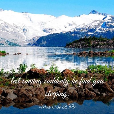 Picture 03 - Mark 13:36 ASV - lest coming suddenly he find you - Bible Verse Picture