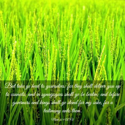 Picture 03 - Mark 13:9 ASV - But take ye heed to yourselves: for they shall - Bible Verse Picture