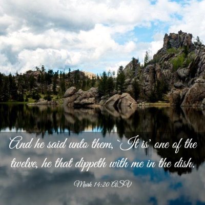 Picture 03 - Mark 14:20 ASV - And he said unto them, `It is' one of the twelve, - Bible Verse Picture