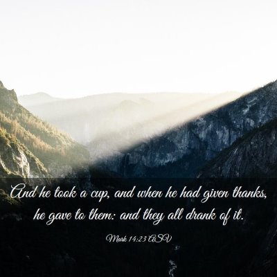 Picture 03 - Mark 14:23 ASV - And he took a cup, and when he had given thanks, - Bible Verse Picture
