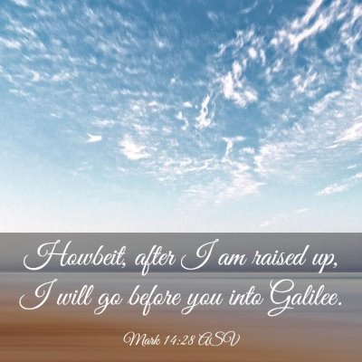 Picture 03 - Mark 14:28 ASV - Howbeit, after I am raised up, I will go before - Bible Verse Picture