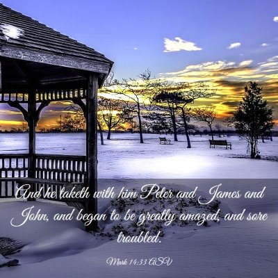 Picture 03 - Mark 14:33 ASV - And he taketh with him Peter and James and John, - Bible Verse Picture