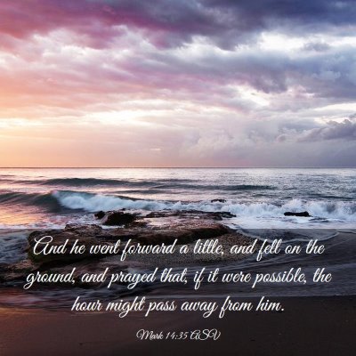 Picture 03 - Mark 14:35 ASV - And he went forward a little, and fell on the - Bible Verse Picture