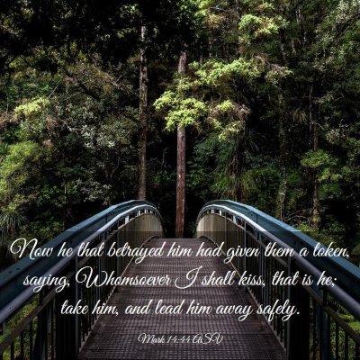 Picture 03 - Mark 14:44 ASV - Now he that betrayed him had given them a token, - Bible Verse Picture