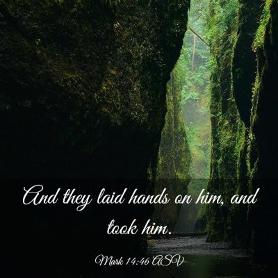 Picture 03 - Mark 14:46 ASV - And they laid hands on him, and took - Bible Verse Picture