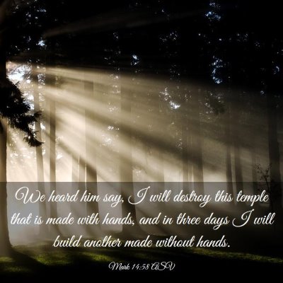 Picture 03 - Mark 14:58 ASV - We heard him say, I will destroy this temple that - Bible Verse Picture
