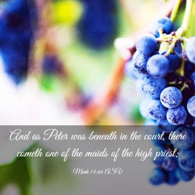 Picture 03 - Mark 14:66 ASV - And as Peter was beneath in the court, there - Bible Verse Picture