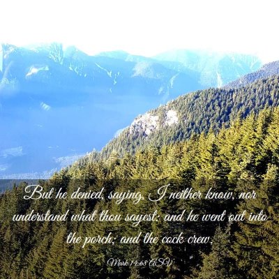 Picture 03 - Mark 14:68 ASV - But he denied, saying, I neither know, nor - Bible Verse Picture
