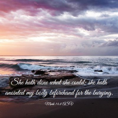 Picture 03 - Mark 14:8 ASV - She hath done what she could; she hath anointed - Bible Verse Picture