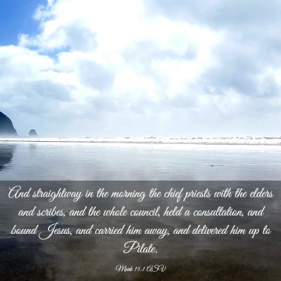 Picture 03 - Mark 15:1 ASV - And straightway in the morning the chief priests - Bible Verse Picture