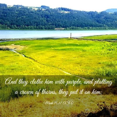 Picture 03 - Mark 15:17 ASV - And they clothe him with purple, and platting a - Bible Verse Picture